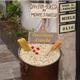 rondreis in Basilicata en Puglia