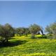 rondreis in Sicilia