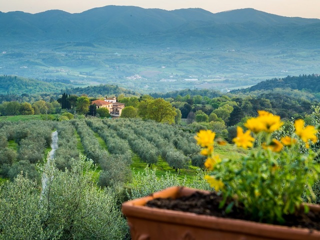 Agriturismo Reggello