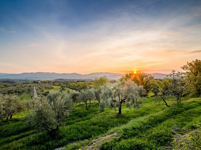 Agriturismo Reggello
