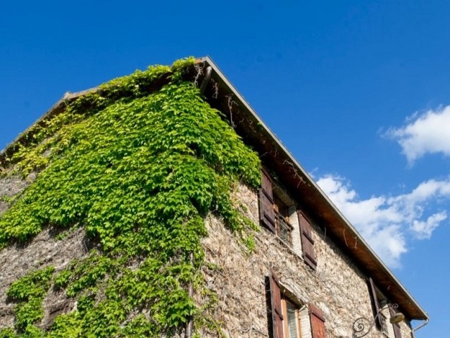 Agriturismo Assisi
