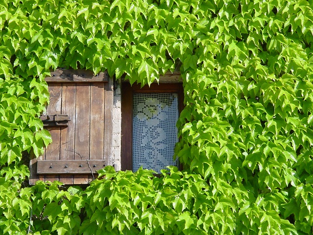 Agriturismo Assisi