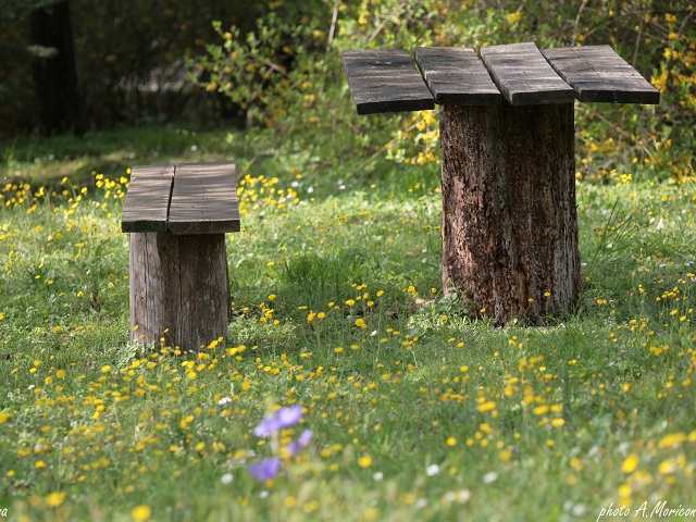 Agriturismo Assisi