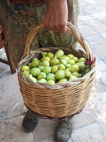 Agriturismo Cilento