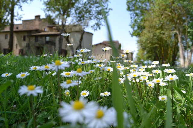 Agriturismo Umbertide