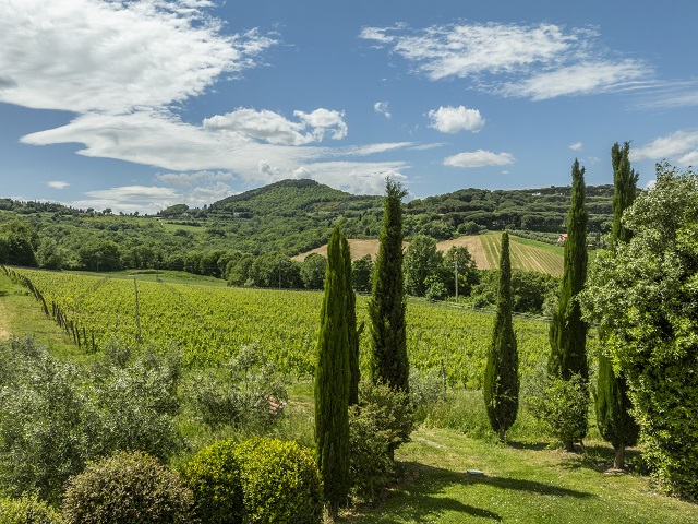 Agriturismo Montepulciano