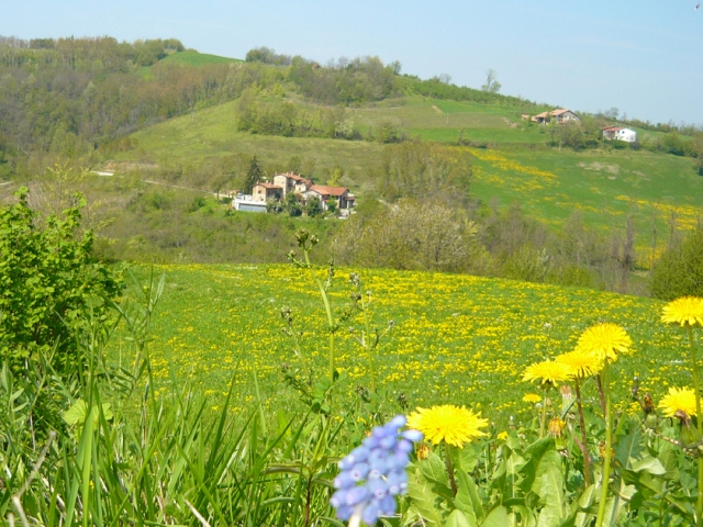 Cascine Le Langhe