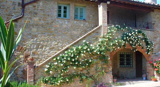 Fattoria Conio