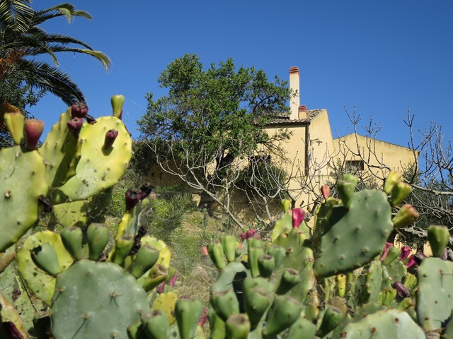 Agriturismo Castelvetrano