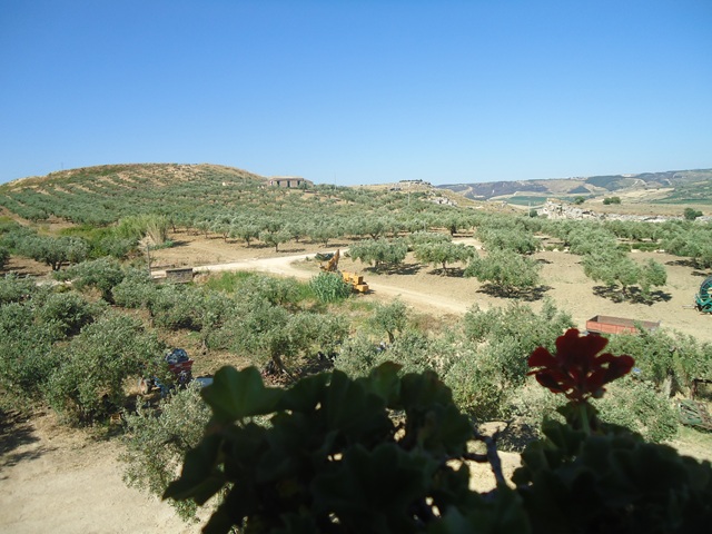 Agriturismo Castelvetrano