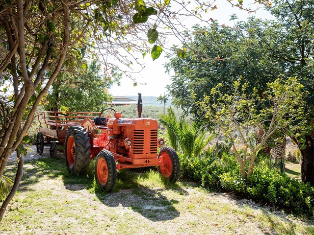 Agriturismo Castelvetrano
