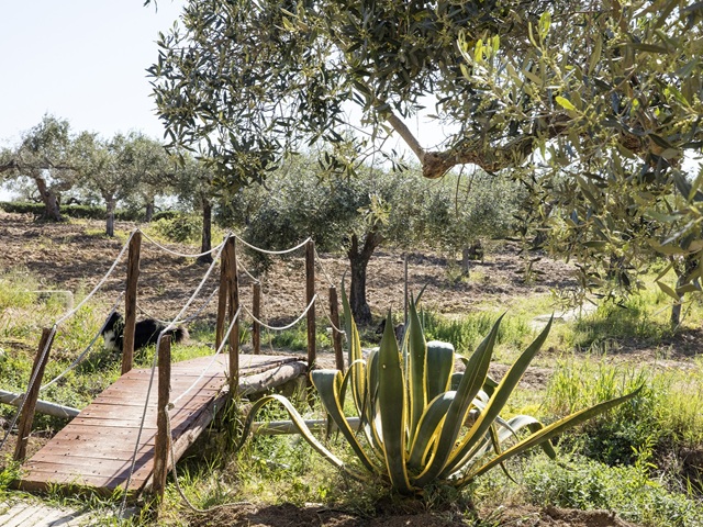 Agriturismo Castelvetrano