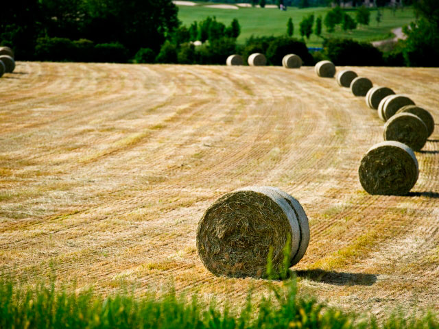 Agriturismo Garda