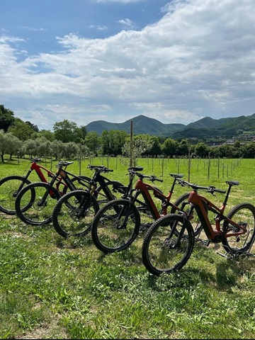 Agriturismo Colli Euganei