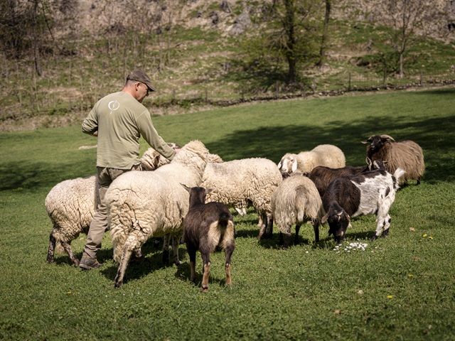 Agriturismo Colli Euganei