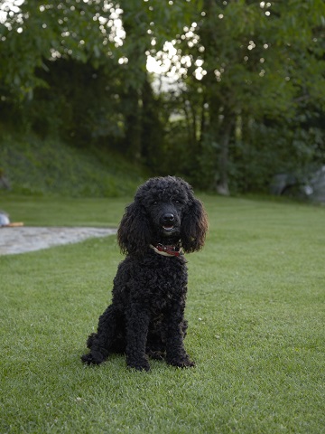 Agriturismo Todi