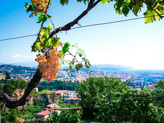 Agriturismo Ligurië