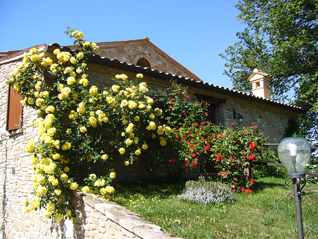 Agriturismo Urbino