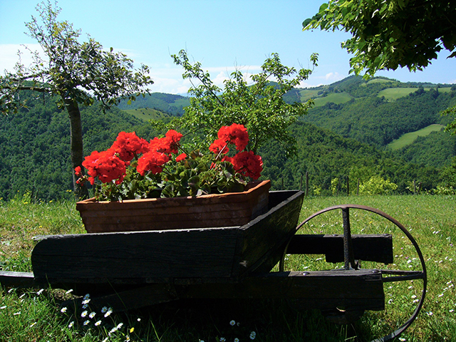 Agriturismo Urbino