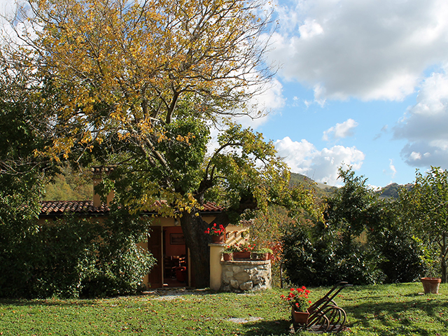 Appt. Capriolo