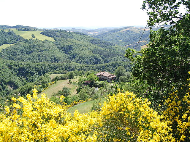 Agriturismo Urbino