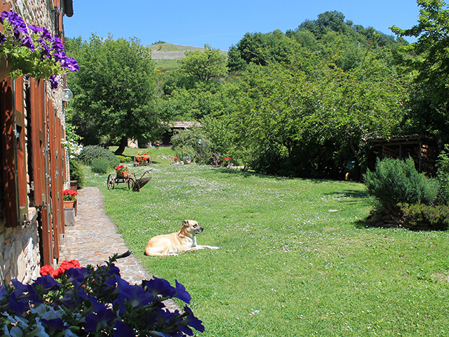 Agriturismo Urbino