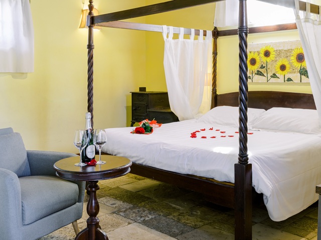 Junior Suite Junius
