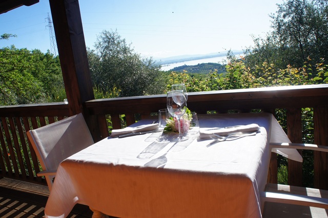 Ecosuite Cielo