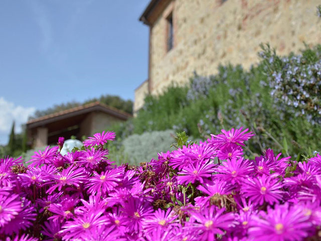 Agriturismo Civitella Paganico
