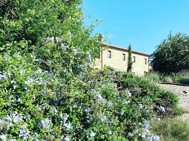 Agriturismo Civitella Paganico