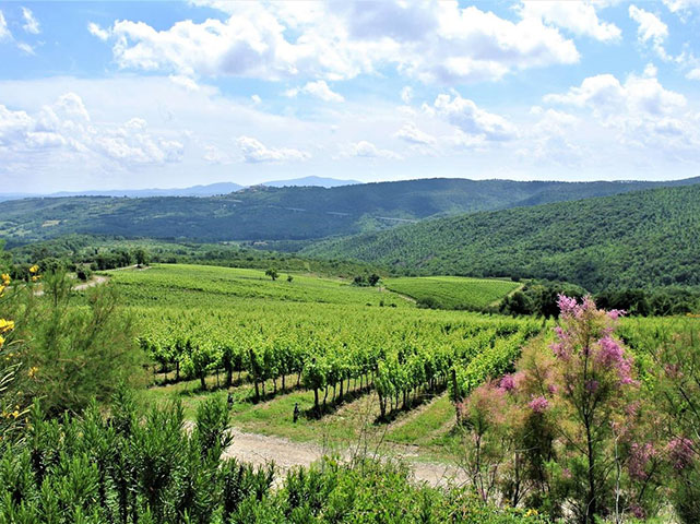 Agriturismo Civitella Paganico