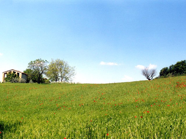 Agriturismo L' Esinante