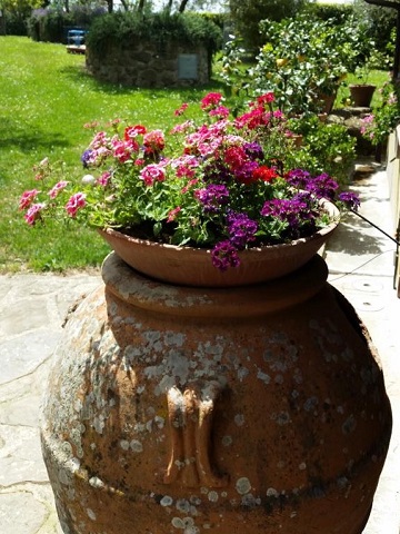 La Casella