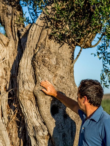 Masseria Murgia