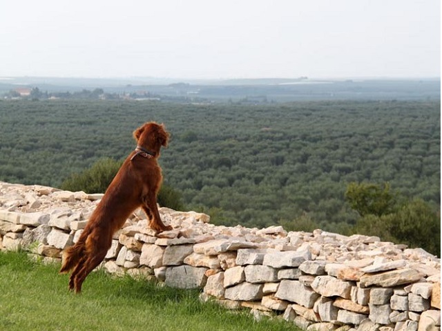 Masseria Murgia