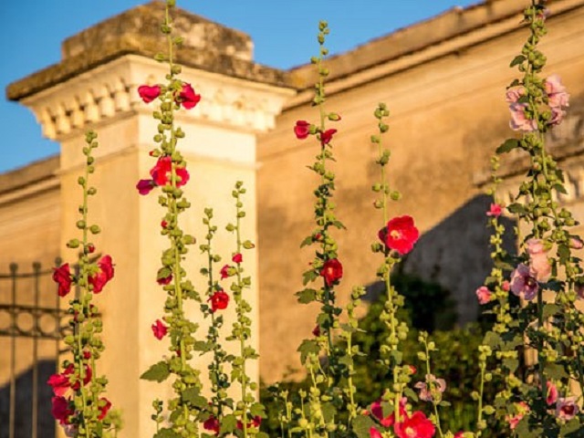 Masseria Murgia