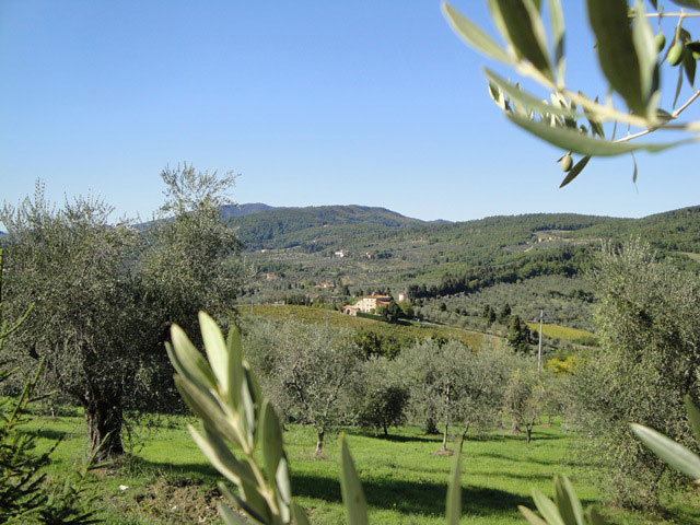 Agriturismo Pontassieve