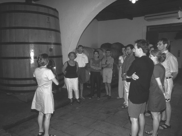 Rondleiding wijnkelders