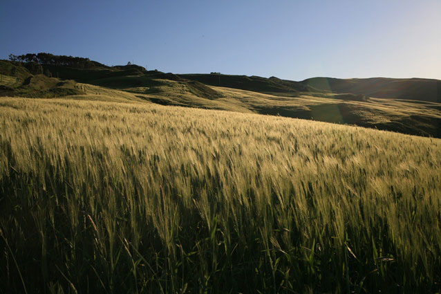 Landschap