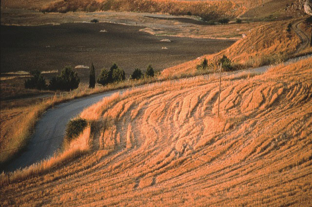Landschap