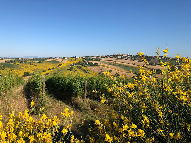 Agriturismo Le Marche