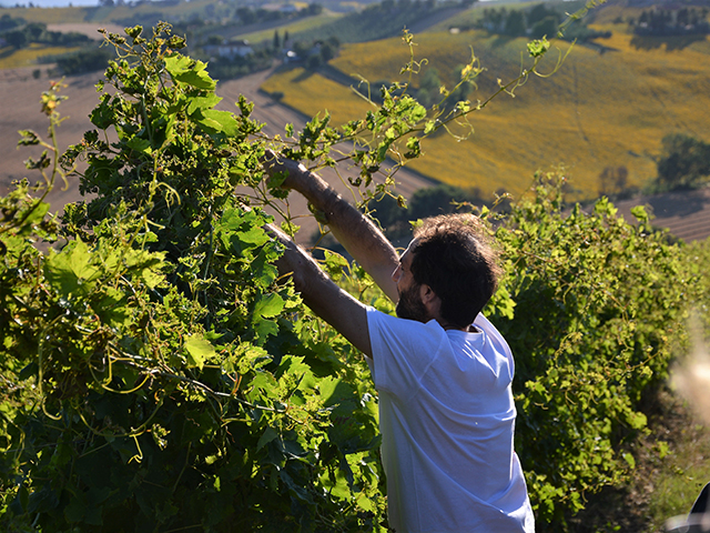 Agriturismo Le Marche
