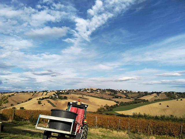 Agriturismo Le Marche