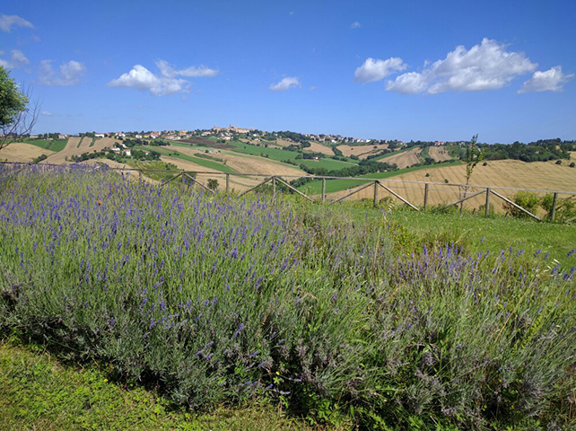 Agriturismo Le Marche