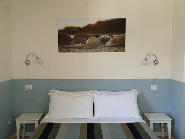 Kamer Coquillage