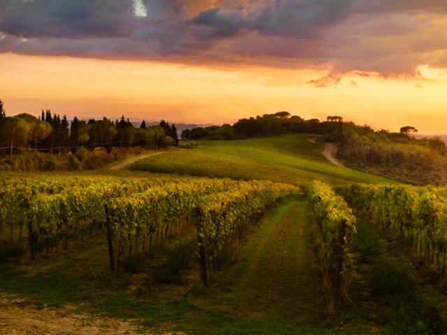 Tenuta San Vito