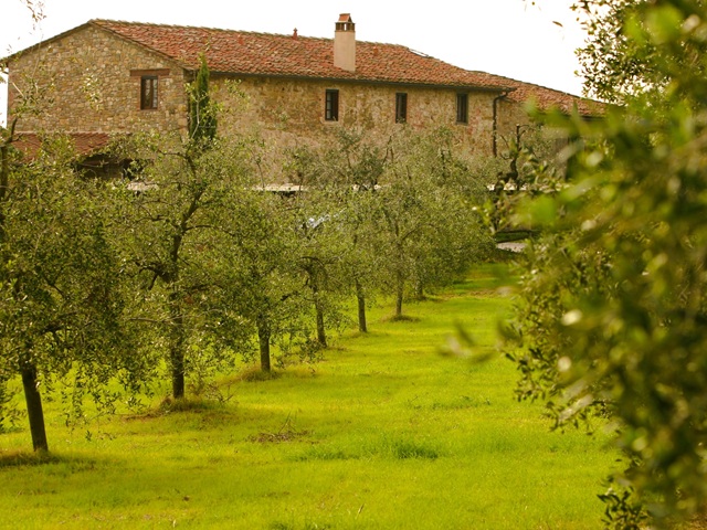 Tenuta San Vito
