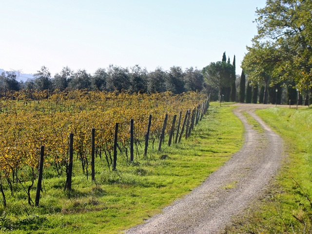 Tenuta San Vito