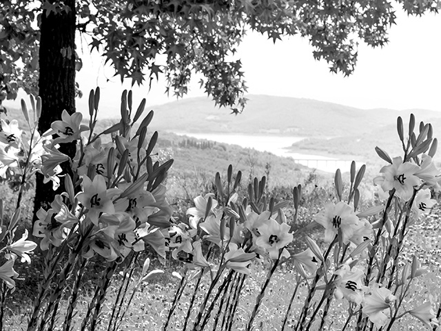 Agriturismo da Gabriele