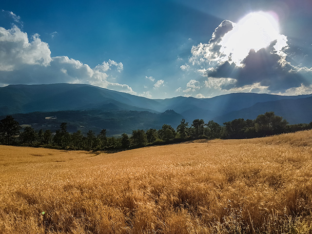 Agriturismo da Gabriele